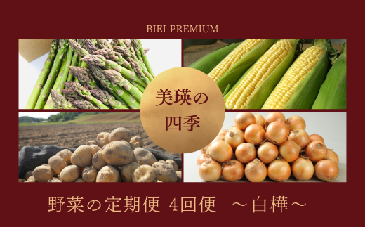 [令和8年産予約受付!]〜美瑛の四季〜 野菜の定期便[白樺]4回便[036-46]