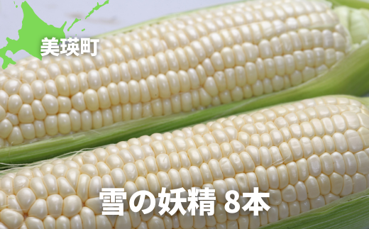 【令和８年産予約受付！】黒木農場　とうもろこし（雪の妖精）8本[009-33]