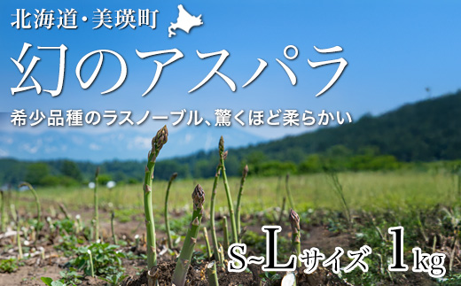 【先行予約！令和8年産】幻のアスパラ「ラスノーブル」L～Sサイズ 1kg グリーンアスパラ おおとり[015-141]