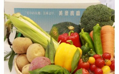 [042-04]美景農園　令和６年産　野菜の定期便（４回）