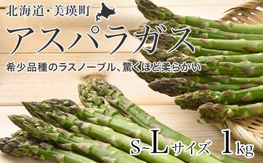 【先行予約！令和8年産】グリーンアスパラ L～Sサイズ 1kg おおとり[014-107]