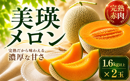 【令和8年産】美瑛 赤肉メロン 2玉 1玉1.6kg以上 金子農園
