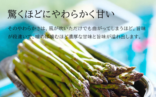 【令和8年産先行予約】美瑛町幻のアスパラ　本山農場のラスノーブル（グリーンアスパラ）Lサイズ2kg[022-39]