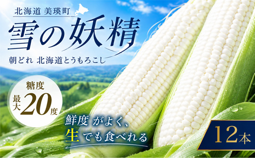 【令和８年産予約受付！】黒木農場　とうもろこし（雪の妖精）12本[011-57]