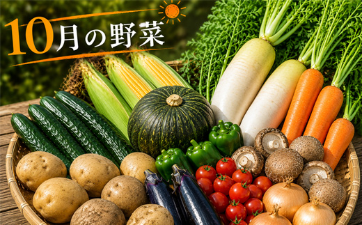 【令和8年産】旬の野菜7～9種の詰め合わせセット 定期便 3回便 8月～10月発送 美景農園