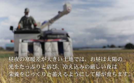 ≪令和８年産予約受付！≫美景農園　新米 ななつぼし10kg [030-106]