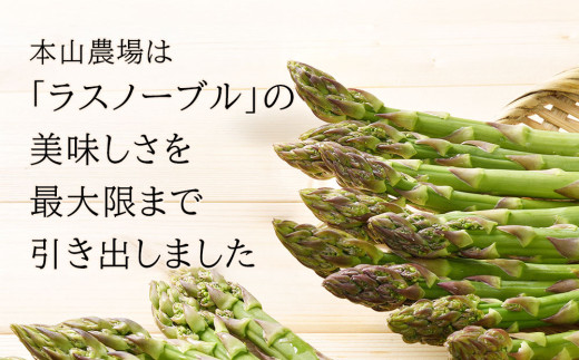 【令和8年産先行予約】北海道 美瑛町幻のアスパラ 本山農場のラスノーブル（グリーンアスパラ）M～2Lサイズ 1kg ≪2回便≫[028-21]