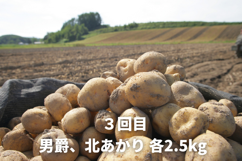 【令和８年産予約受付！】黒木農場　野菜の定期便（３回便）[029-15]