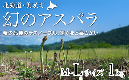【先行予約！令和8年産】幻のアスパラ「ラスノーブル」L～Mサイズ 1kg グリーンアスパラ おおとり[016-107]
