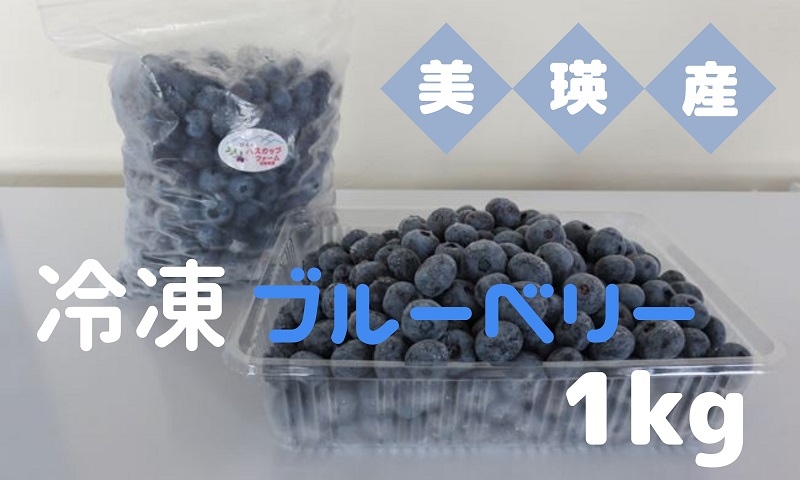 [015-77]びえいハスカップファーム　美瑛産冷凍ブルーベリー1ｋｇ