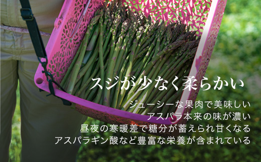 【先行予約！令和8年産】グリーンアスパラ L～Mサイズ 2kg おおとり[020-101]