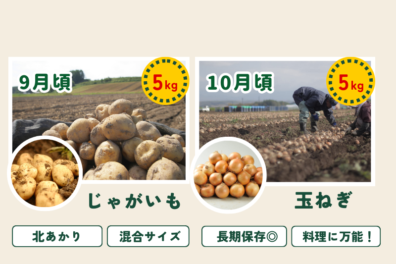 【令和８年産予約受付！】～美瑛の四季～ 野菜の定期便【白樺】4回便