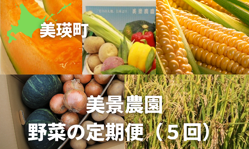 ≪令和７年産予約受付！≫美景農園　野菜の定期便（５回）[068-02]