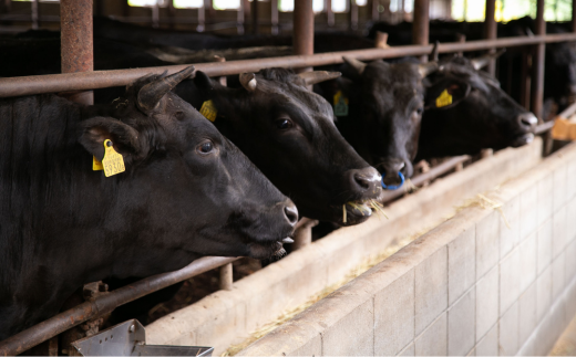 株式会社ヤザワミート　ミート矢澤 YAZAWA BEEF＜矢澤牛＞ハンバーグ４個[026-23]