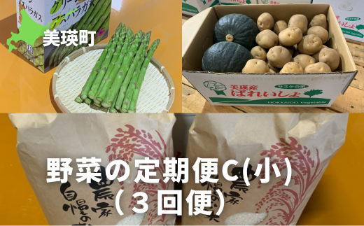 ≪令和７年産予約受付！≫サスケの家　野菜の定期便C【小】（３回便）[032-17]