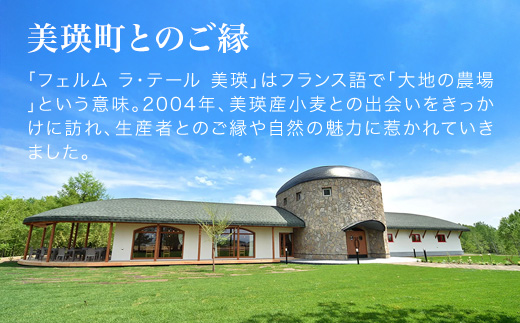 [013-92]フェルムラテール美瑛　ミルクサンド 12枚