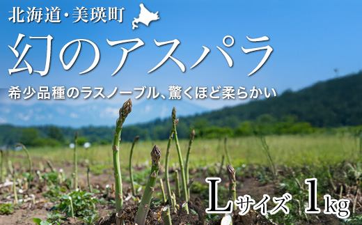 【先行予約！令和8年産】幻のアスパラ「ラスノーブル」Lサイズ 1kg グリーンアスパラ おおとり[017-70]