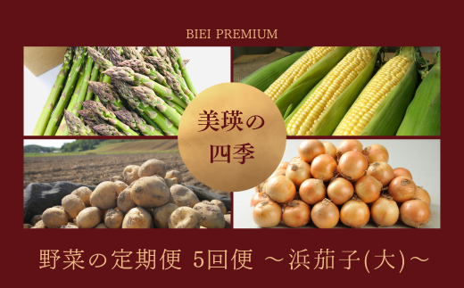 【令和８年産予約受付！】～美瑛の四季～ 野菜の定期便【浜茄子(大)】5回便[076-05]