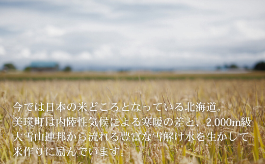 ≪令和８年産予約受付！≫美景農園　新米 ななつぼし10kg [030-106]