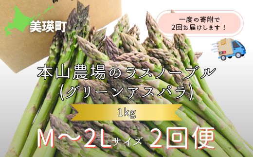 【2025年産！】北海道 美瑛町幻のアスパラ 本山農場のラスノーブル（グリーンアスパラ）M～2Lサイズ 1kg ≪2回便≫[024-52]