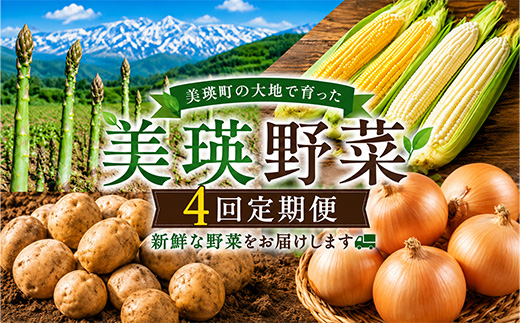 【令和9年産 先行予約】野菜の定期便 4回便 アスパラ とうもろこし じゃがいも 玉ねぎ 北海道美瑛町 おおとり