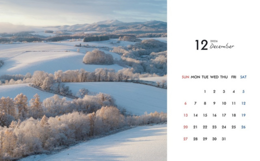  [006-22] 写真家 坪井 智洋 美瑛の風景 2026年卓上カレンダー