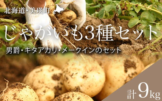 【令和８年産予約受付！】黒木農場　じゃがいも３種セット[011-61]