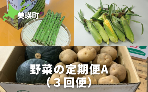 ≪令和７年産予約受付！≫サスケの家　野菜の定期便A（３回便）[043-06]