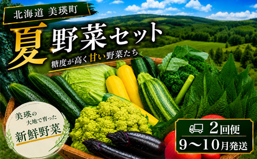 縲蝉サ、蜥8蟷エ逕」縲第流縺ョ驥手除7ス9遞ョ縺ョ隧ー繧∝粋繧上○繧サ繝繝 螳壽悄萓ソ 2蝗樔セソ 9譛茨ス10譛育匱騾 鄒取勹霎イ蝨