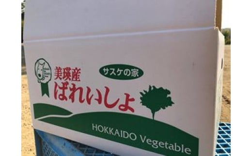 ≪令和７年産予約受付！≫サスケの家　馬鈴薯と南瓜の詰め合わせ[011-48]