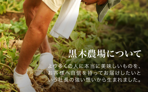 【令和８年産予約受付！】黒木農場　じゃがいも（北あかり）10kg[010-214]