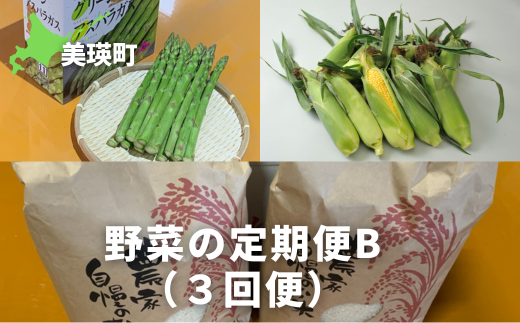 ≪令和７年産予約受付！≫サスケの家　野菜の定期便B（３回便）[051-07]