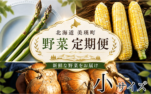 【令和9年産先行予約】野菜の定期便（小） 3回便 野菜 定期便 幻のアスパラ ラスノーブル とうもろこし 玉ねぎ 北海道 本山農場