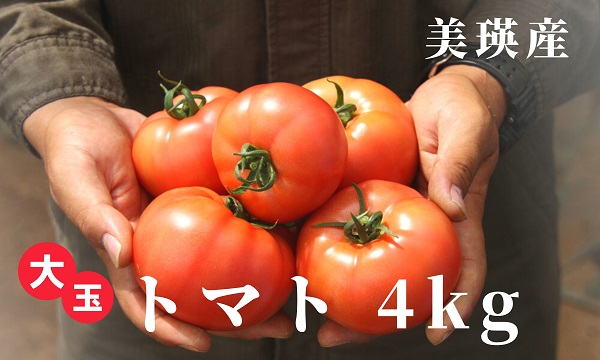 本山農場　MARUMO大玉トマト4kg[012-64]