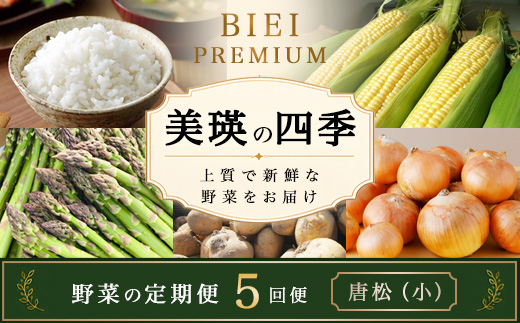 【令和9年産 先行予約】野菜 定期便 5回便 美瑛の四季～唐松（小）～ 美瑛米 アスパラ とうもろこし じゃがいも 玉ねぎ