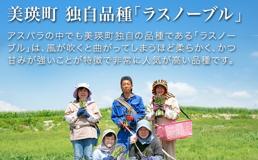 【先行予約！令和8年産】幻のアスパラ「ラスノーブル」L～Mサイズ 1kg グリーンアスパラ おおとり[016-107]