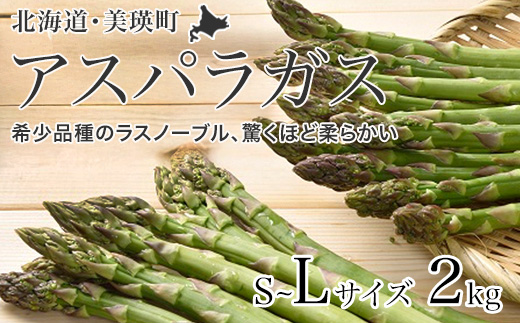 【先行予約！令和8年産】グリーンアスパラ L～Sサイズ 2kg おおとり[019-74]
