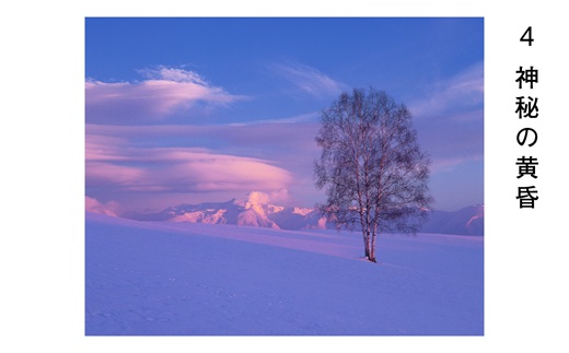 [120-10]前田真三 額付き写真（黒額） 四切サイズ