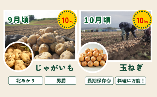 ã什åïŒå¹Žç£äºçŽåä»ïŒãïœçŸçã®åå£ïœ éèã®å®æäŸ¿ãçœæšº(倧)ã4å䟿