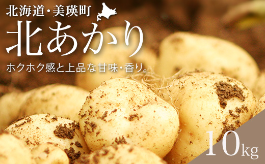 【令和８年産予約受付！】黒木農場　じゃがいも（北あかり）10kg[010-214]