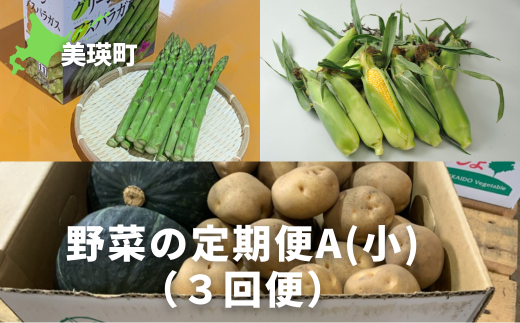 ≪令和7年産予約受付!≫サスケの家 野菜の定期便A[小](3回便)[031-03]