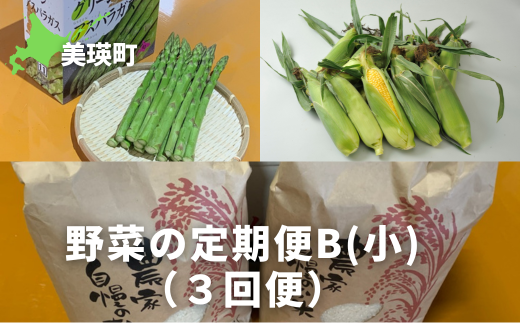 ≪令和７年産予約受付！≫サスケの家　野菜の定期便B【小】（３回便）[034-12]