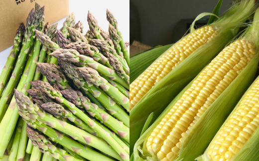 ã什åïŒå¹Žç£äºçŽåä»ïŒãïœçŸçã®åå£ïœ éèã®å®æäŸ¿ãçœæšº(倧)ã4å䟿