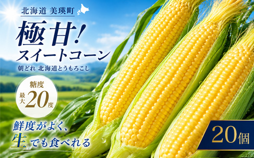 【令和８年産予約受付！】黒木農場　とうもろこし（ほしつぶコーン）20本[016-90]