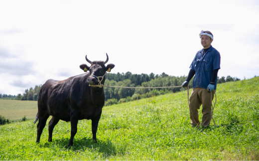株式会社ヤザワミート　ミート矢澤 YAZAWA BEEF＜矢澤牛＞ハンバーグ８個[047-05]