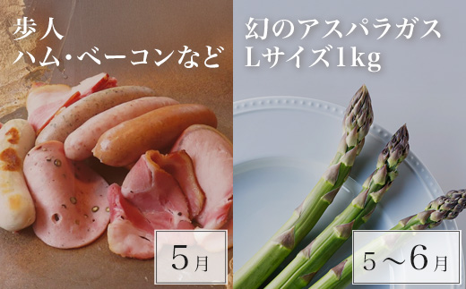 çŸçãªãŒã«ã¹ã¿ãŒ å®æäŸ¿ 12å䟿 åæµ·é