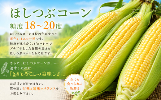 ã什å9幎ç£äºçŽåä»ããšãããããïŒã»ãã€ã¶ã³ãŒã³ïŒéªã®åŠç²ŸïŒå6æ¬ é»æšèŸ²å Ž