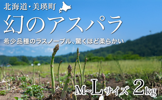 【先行予約！令和8年産】幻のアスパラ「ラスノーブル」L～Mサイズ 2kg グリーンアスパラ おおとり[021-35]