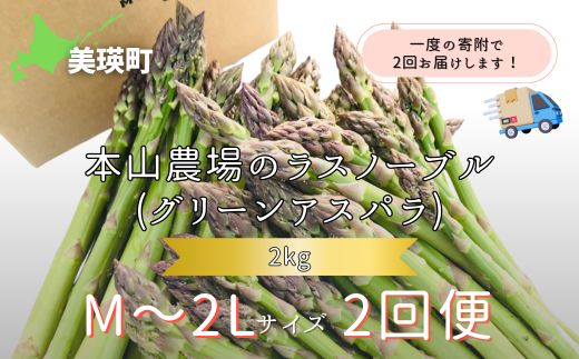 【2025年産！】北海道 美瑛町幻のアスパラ 本山農場のラスノーブル（グリーンアスパラ）M～2Lサイズ 2kg ≪2回便≫[038-09]