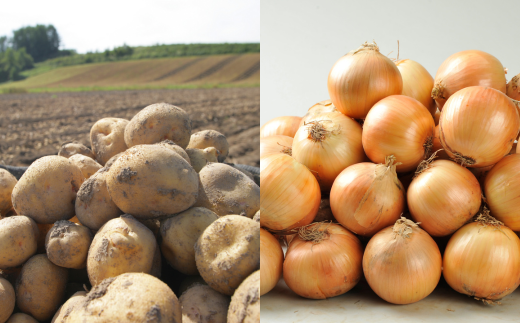 【令和８年産予約受付！】～美瑛の四季～ 野菜の定期便【白樺】4回便